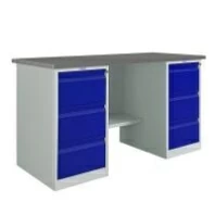 Верстак Практик Profi WT160.WD3/WD3.000